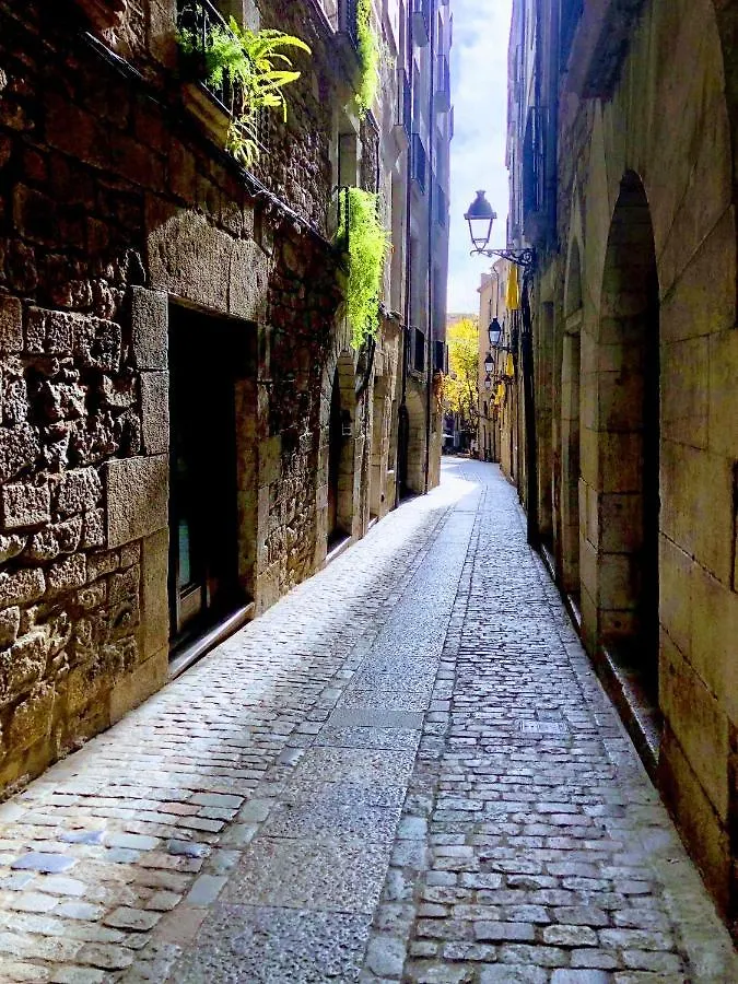 Dream Devesa Girona Apartamento